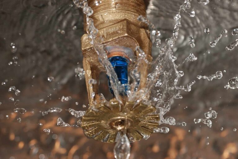 Wet vs. Dry Sprinkler Systems
